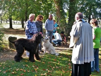 Gedenkstätten um St. Karl Borromäus